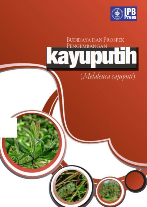 BUDIDAYA DAN PROSPEK PENGEMBANGAN KAYUPUTIH (Melaleuca cajuputi)